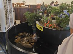 -九寨沟石锅鱼(沣峪口二十年店)