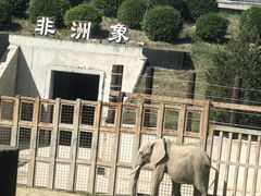 -太原动物园
