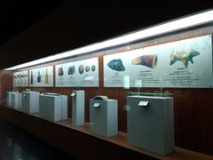 -四川宋瓷博物馆