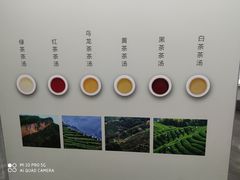-中国茶叶博物馆(双峰馆区)