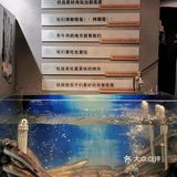 釜牛把我坑惨了⚠️真的入坑了😭😭