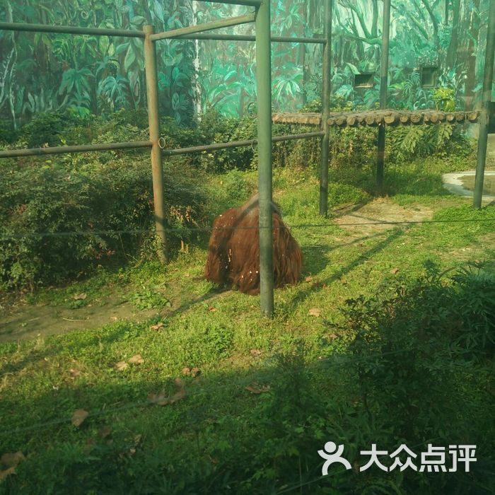 成都動物園