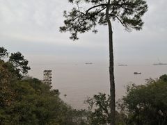 -汤山公园