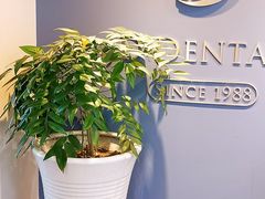-精德口腔·种植修复·儿牙中心(财富中心店)