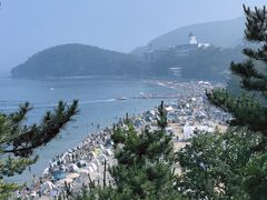 -棒棰岛宾馆景区