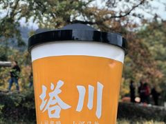 -塔川景区