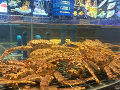 -田园肥牛鲍鱼先生(新北店)