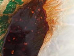 -清真盛志望麻酱酿皮·非遗老字号