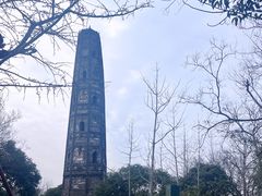 -上海佘山国家森林公园天马山园