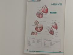 -瑞派雷欧宠物医院·24h夜诊·心脏骨科牙科·全科重症转诊中心(无影山店)