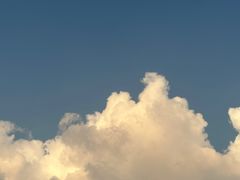 -曲阜东站