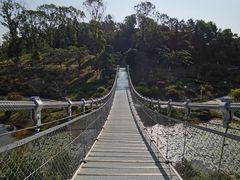 -东莞植物园