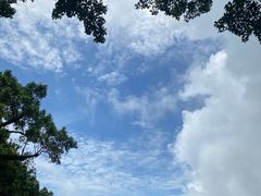 -石排湾郊野公园