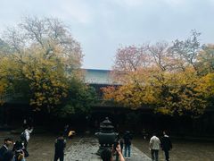 -灵谷景区