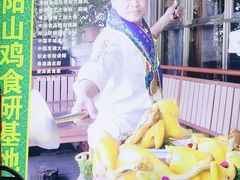 -食德喜·阳山鸡王食研基地