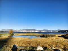 -洱海月湿地公园
