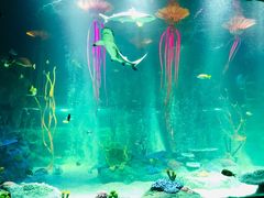 -沈阳海洋探索中心