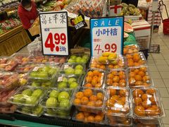 -京北大世界