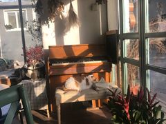 -小时光咖啡馆(北锣鼓巷店)