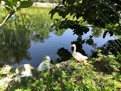 -厦门日月谷温泉渡假村