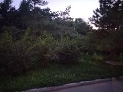 -长春公园(普阳街道)