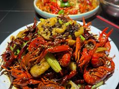 -京悦南门涮羊肉·羊蝎子火锅(田林路店)