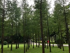 -晓港公园