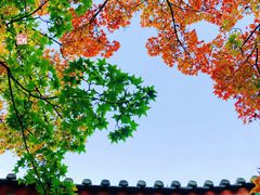 -香山公园