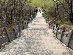 -九女仙湖景区
