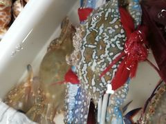 -青石桥市场北1-27号