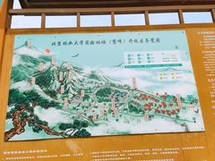-北京鹫峰国家森林公园