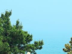 -小麦岛公园