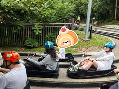 -圣淘沙天际线斜坡滑车