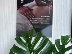 -浅森·龙凤筋SPA·私域调理