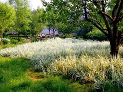 -郑州植物园