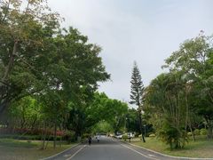 -福田红树林生态公园