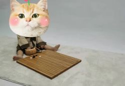 -京尚映画摄影