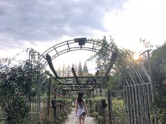 景观位-猪圈咖啡