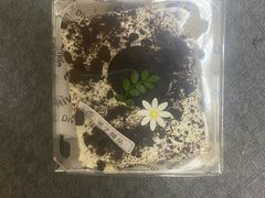 -梁子刨冰王&梁小糖(王顶堤店)