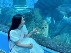 -哈尔滨波塞冬海底世界