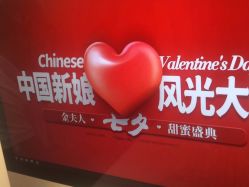 -金夫人婚纱摄影(总店)