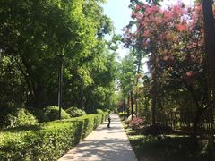-唐城墙遗址公园
