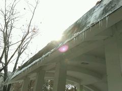 -陕西师范大学(雁塔校区)
