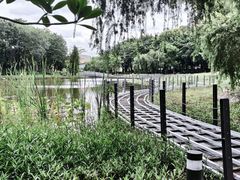 -映月湖公园