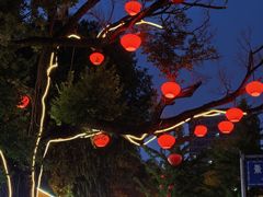 -兴城海滨风景区