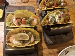 -Famous肥猫墨西哥音乐餐吧(五棵松华熙LIVE店)