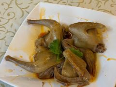 -百利鸽王(紫薇路店)