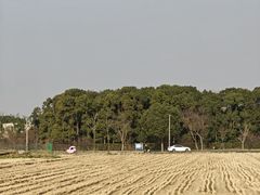 -嘉北郊野公园