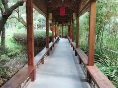-福州贵安·温泉世界