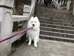 -灵岩山风景区